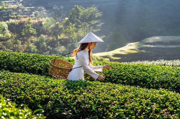 Mùa hè đang trở nên sôi động hơn với sự xuất hiện của chuỗi sự kiện 