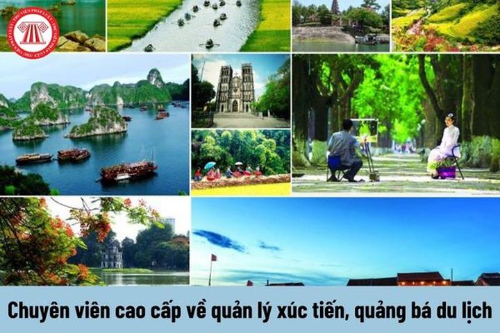 Xu hướng Mỹ nam Trung Quốc tưởng xấu: Hotspot Matrix tiết lộ bí quyết video viral