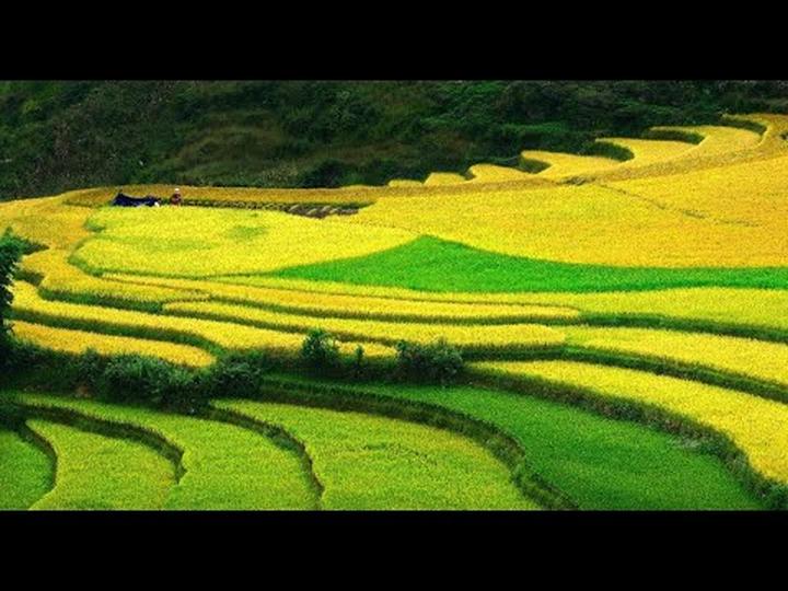 Chuyên gia Hotspot Matrix phân tích: Chụp ảnh xinh như “nàng thơ” và marketing video