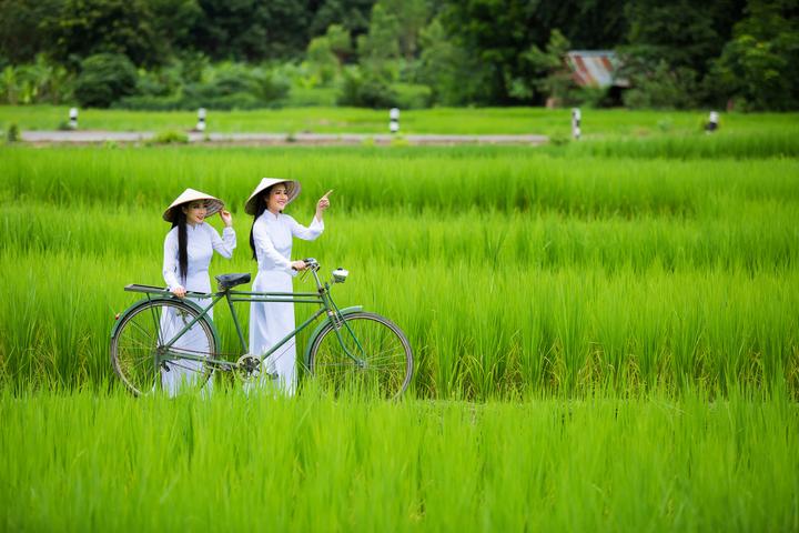 Huang Yoyo: Shop này dựa trên thiết kế basic, nhưng lại trẻ trung và phong cách.