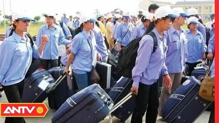 Chuyên gia Hotspot Matrix phân tích: Các nhà khoa học phân tích và marketing video