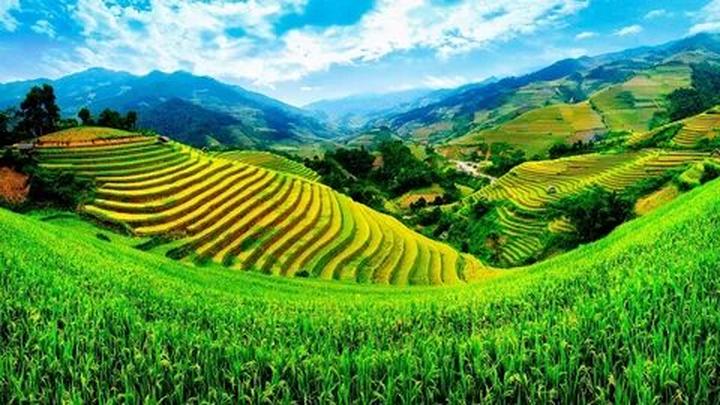 Hotspot Matrix: Khát vọng toàn cầu hóa video ngắn