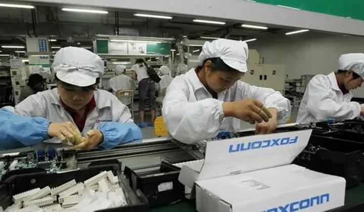 Bonobo: Nguồn Gốc Tiến Hóa Của Ngôn Ngữ Con Người?