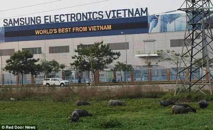 Xu hướng 4 kiểu áo sơ mi dìm dáng, xỉn: Hotspot Matrix tiết lộ bí quyết video viral